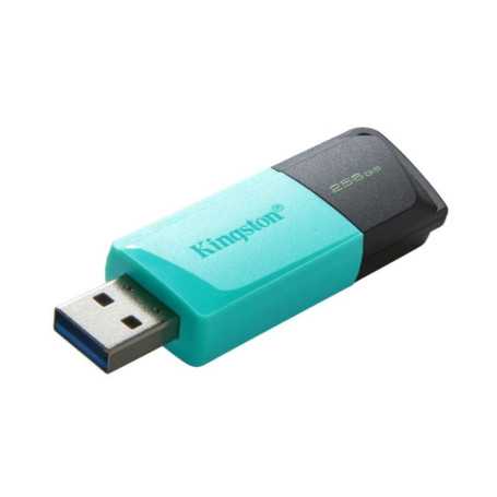 Clé USB Kingston DataTraveler Exodia M USB-A 3.2 DTXM/256GB - Noir T