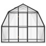 vidaXL Anthracite Aluminum Frame Greenhouse - 3.3m²