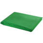 Système de support de toile de fond vidaXL - 600 x 300 cm Vert
