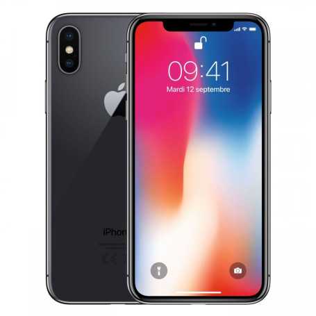 iPhone X 256 Go Gris (Écran et vitre arrière cassé)