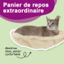 Arbre à chat avec griffoirs en sisal vidaXL - 60 cm Crème