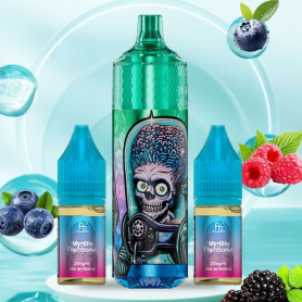 Rechargeable E-Liquid Vaporizer Fumot Tornado 28000 Puffs Blueberry Raspberry Flavor