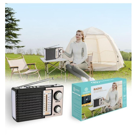 Radio, Transistor - Multi-Band Portable Radio (FM/MW/SW) - Classic Design and Powerful Reception CIAOBOSI TX-8576 -Golden, whole