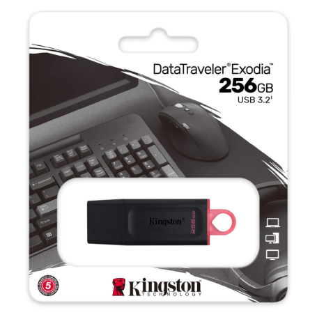USB Drive, Flash Drive - Kingston DataTraveler Exodia Pendrive USB-A 3.2 256 GB DTX/256 GB USB Flash Drive - Nero/Rosa, wholesal