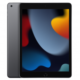 Tablet, Apple Device - iPad 10.2" (9th Generation) 256 GB Wi-Fi Gray - Grade A, wholesale price