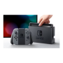 Console, Console de Jeu - Nintendo Switch V2 Extended Battery (Prise JP) - Gris, prix de gros.