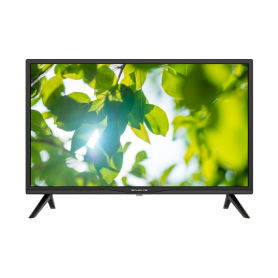 Television, LED Display - Smart TV Sinudyne 32" LED SI32A2312HD +12V HD, wholesale price