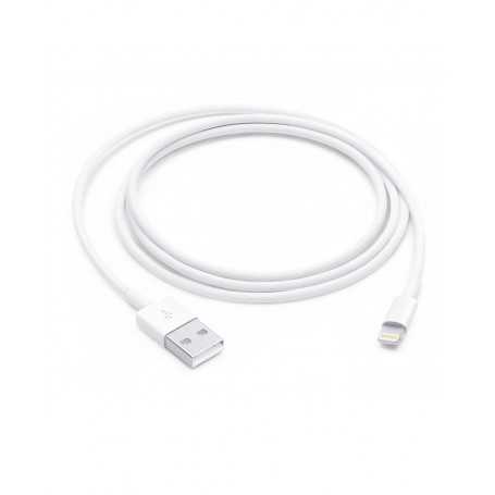 Câble USB / Lightning - 2M - Retail Box (Apple)