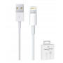 Câble USB / Lightning - 2M - Retail Box (Apple)