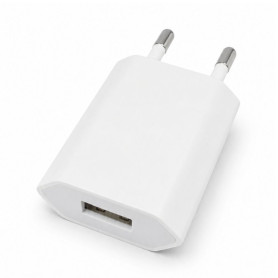 Charger, Power Supply - Apple A1300 5W USB-A Power Adapter White - Bulk - Used, wholesale price