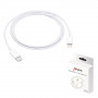 Câble Type-C vers Lightning 20W -1M (Mayline)