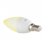 Ampoule Connectée NGS RGB et LED 5W
