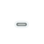 Adaptateur USB-C / Apple Pencil MWML3ZM/A - Apple - Blanc