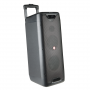 Enceinte Bluetooth NGS Wild Rave 1 avec Microphone - 5" - 200W - Noir
