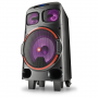 Enceinte Bluetooth NGS WILD DUB ZERO avec Microphone - 5" - 120W - Noir