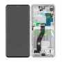 Ecran Samsung Galaxy S21 Ultra 5G (G998B) Argent + Châssis (Soft Oled)