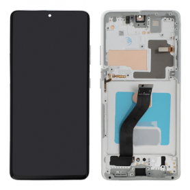 Screen Samsung Galaxy S21 Plus (G996) Gray + Frame (Soft Oled)