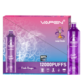 Vapoteuse Rechargeable Type-C SHISHA Hookah 12000 Puffs 0% Nicotine Saveur Fruits Rouges