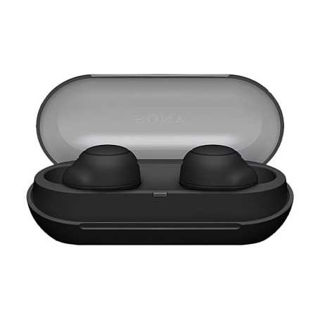 Ecouteurs intra-auriculaire Bluetooth IPX4 Sony WF-C500 - Noir