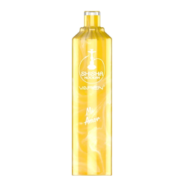 Vapoteuse Rechargeable JNR SHISHA - 12000 Puffs, Saveur Fruitée, 2% Nicotine