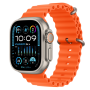 Apple Watch Ultra 2 Cellulaire Natural Titanium Orange 49mm - Grade A - Sans bracelet et Accessoires