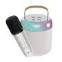 Techmade Enceinte Karaoke TM-K2-WH Blanc