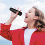 Techmade Enceinte Karaoke TM-K2-BK Noir