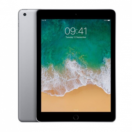 iPad 5 128 GB Cellular Gray - Grade AB