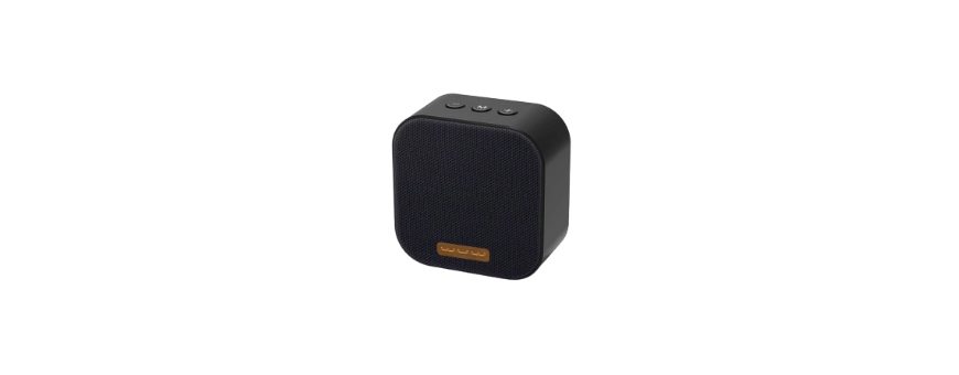 Enceinte